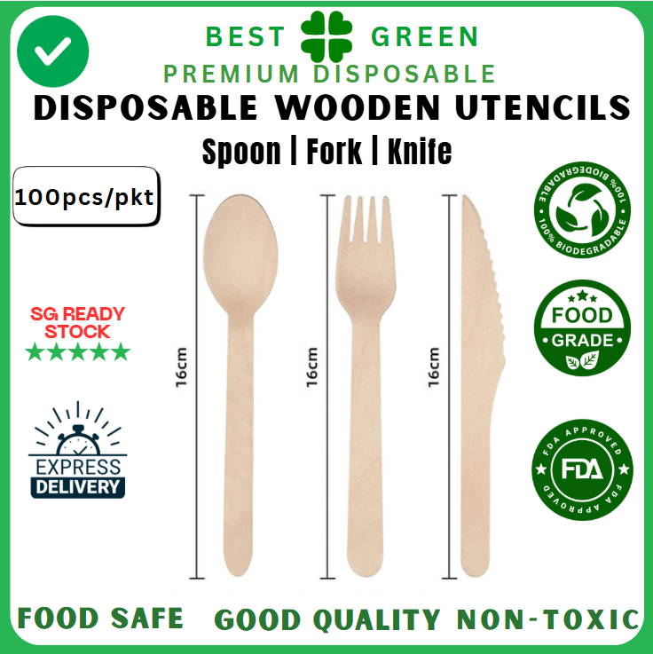 Disposable Wooden Spoon [160mm] | 1 Ctn