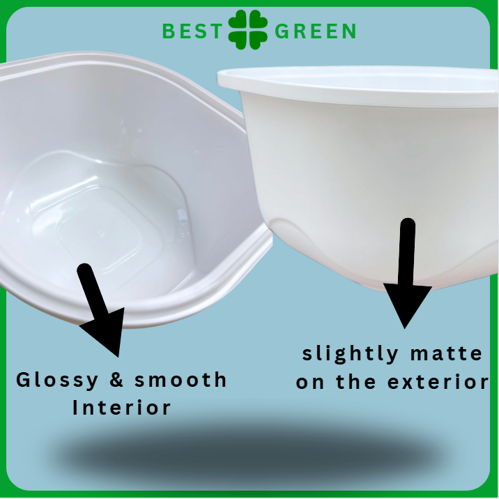 Disposable Oval Plastic Container with Lid [Small] | 1 Ctn [Bowl & Lid Each]