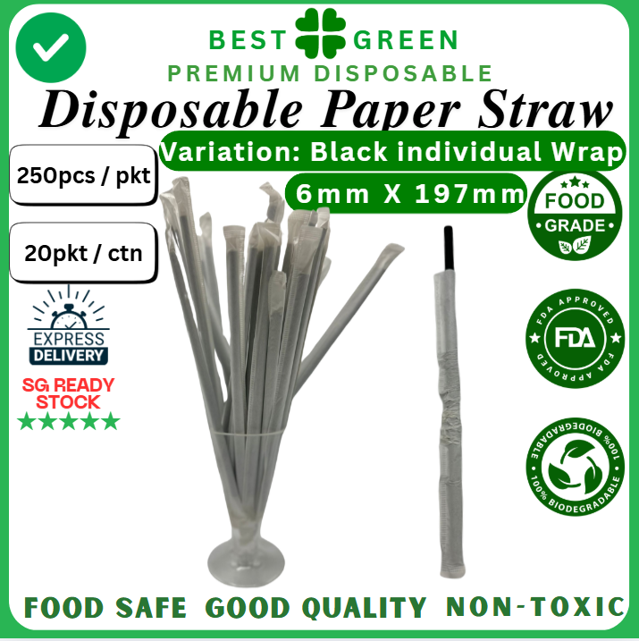 Disposable Paper Straw [Black Individual Wrap] | [6mm X 197mm] | 1 Ctn
